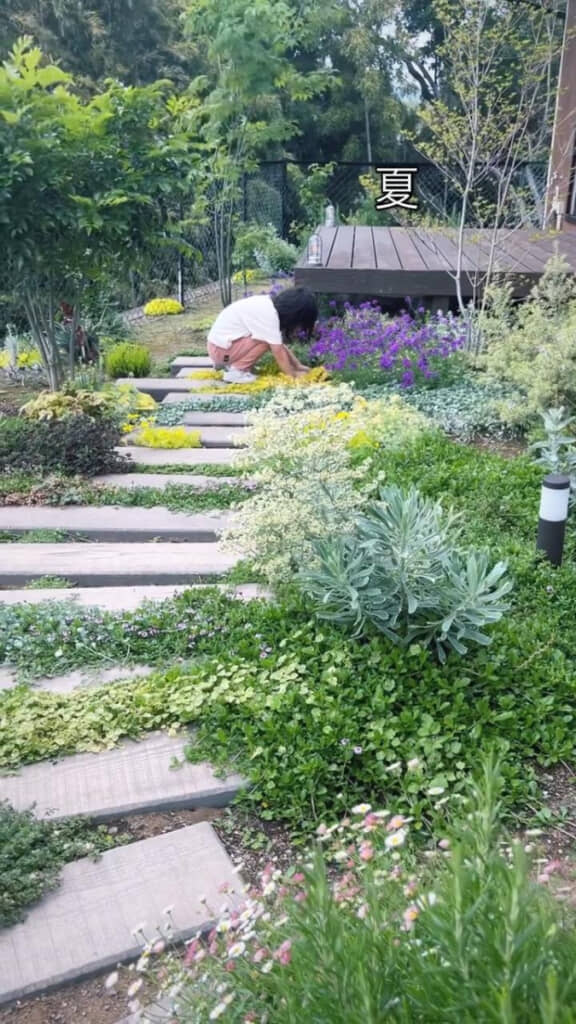2024年には季節の花が咲きました