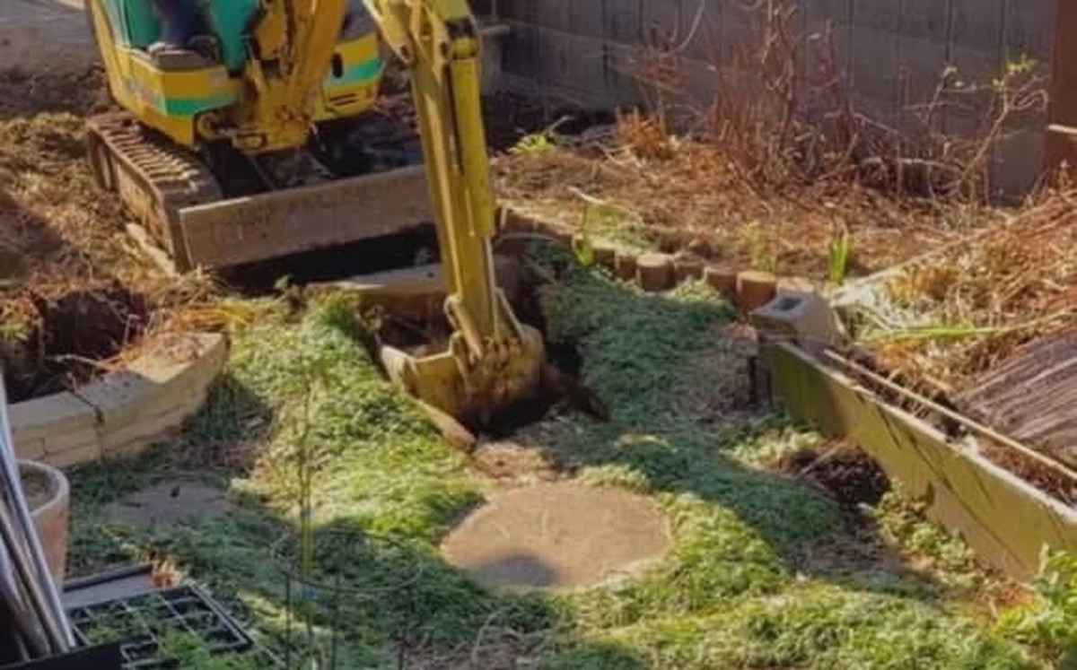 「庭がうまくいかない」と悩み足掻いて15年後……「素敵！」完成した“光景”に「参考にしたいです」（1/3） | ライフスタイル ねとらぼ