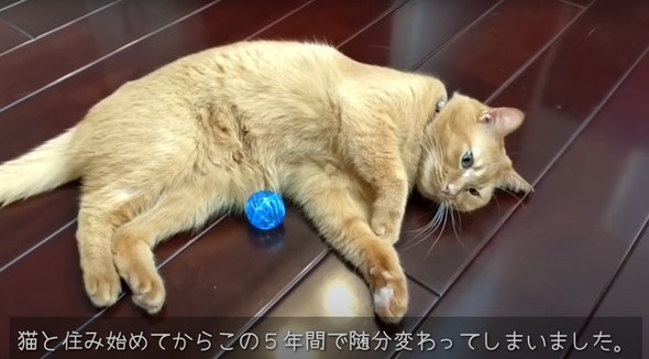 マイホームに起きた変化とは……？