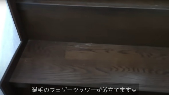  掃除したばっかりなのに……！