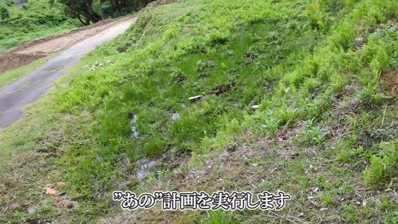 ため池近くの湿地帯にメダカ養殖用の池を作る