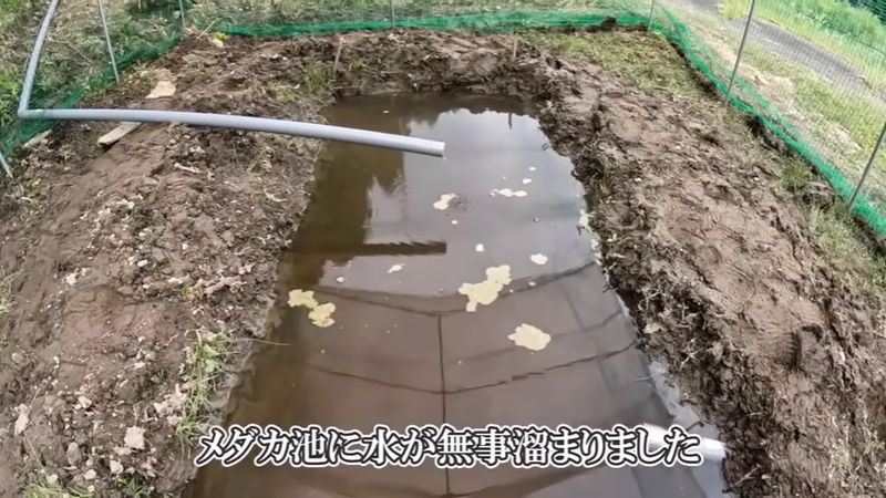 水がたまったメダカ用の池
