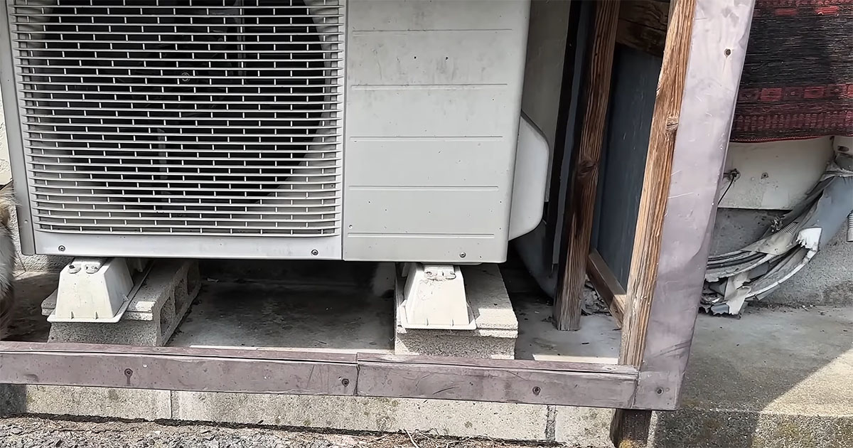 炎天下の駐車場、室外機の下にいたのは……　胸が痛む“親子の姿”に「泣けてきました」「初めて見ました」（1/3） | 猫 ねとらぼ