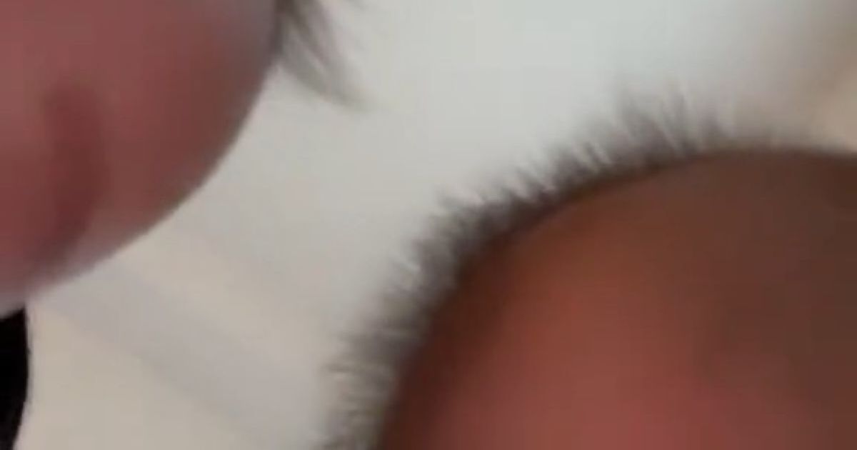 パパのスマホで遊ぶ三つ子赤ちゃん→撮れていたのは……　「まってww」予想外の光景に「耐えられなかったです笑」と212万再生 | 育児 ねとらぼ