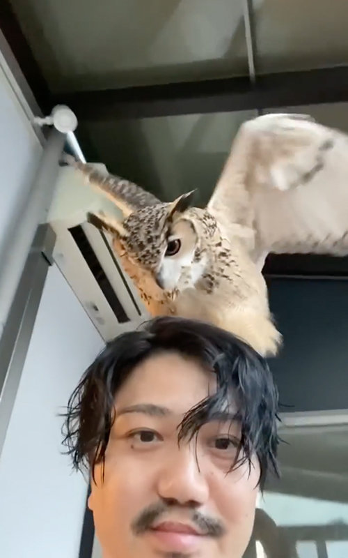 会いたかったー！