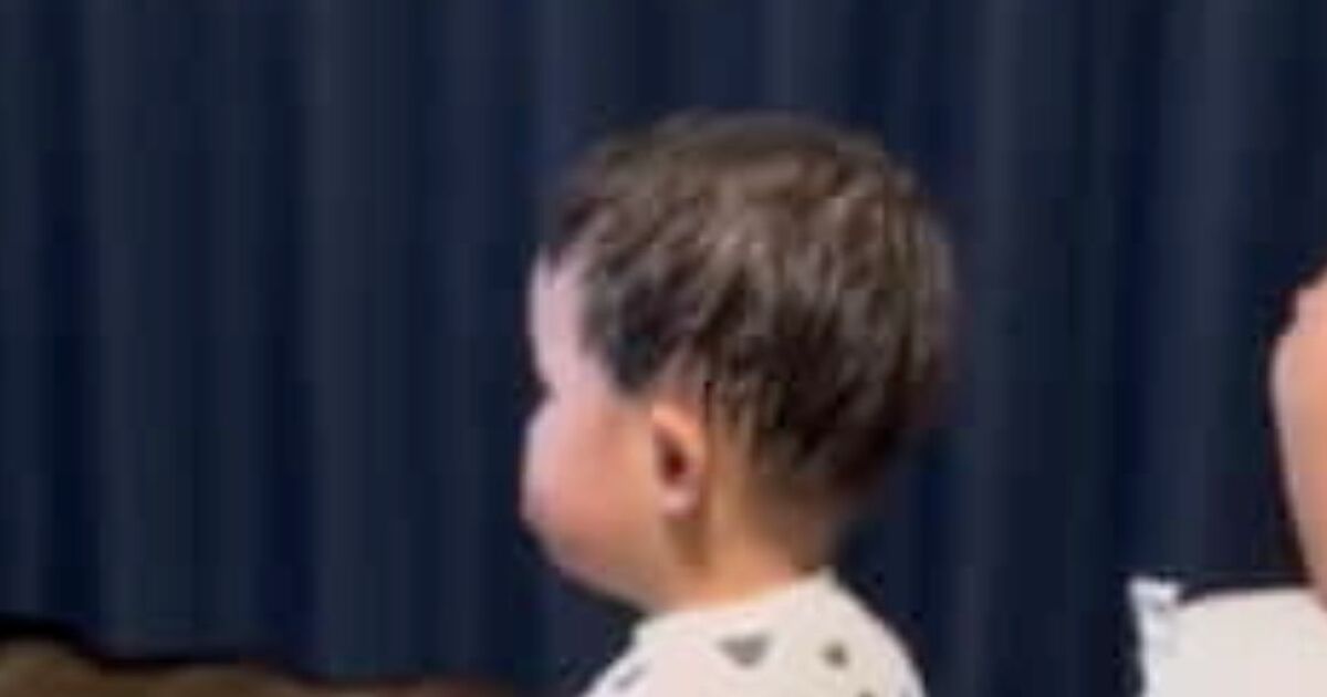 ふと、2歳息子を見ると……　まさかの姿勢にママ仰天「いや最高（笑）」「前世は武士やね」と189万再生 | 育児 ねとらぼ