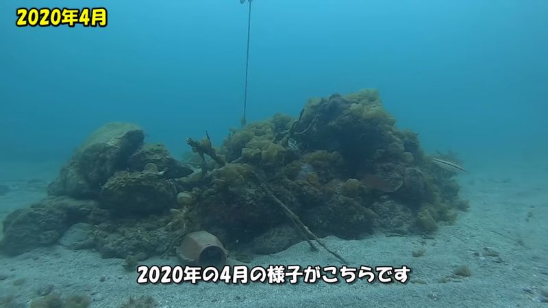 海藻が生えている2020年4月の漁礁