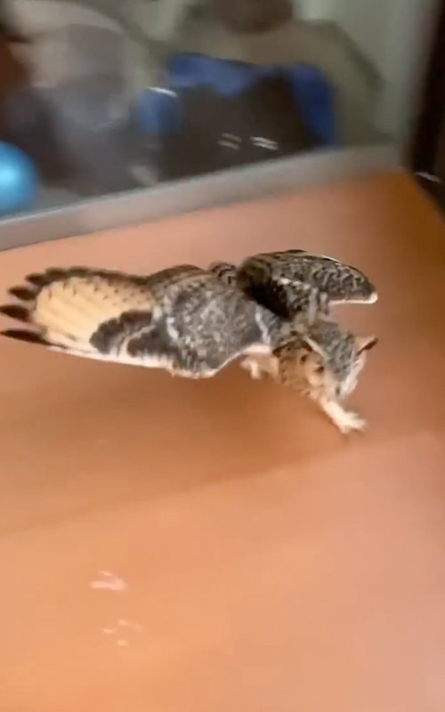 とってもうれしそう