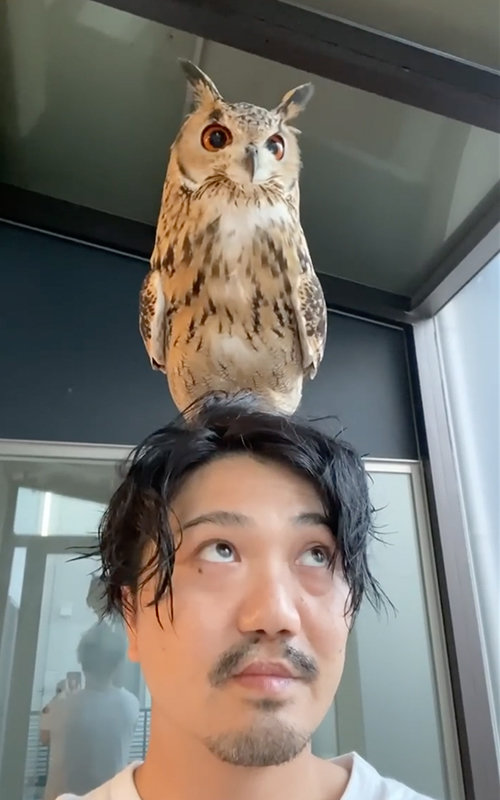 なんだか満足気