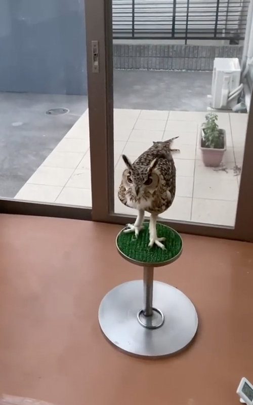 無事帰ってきてくれてよかったね