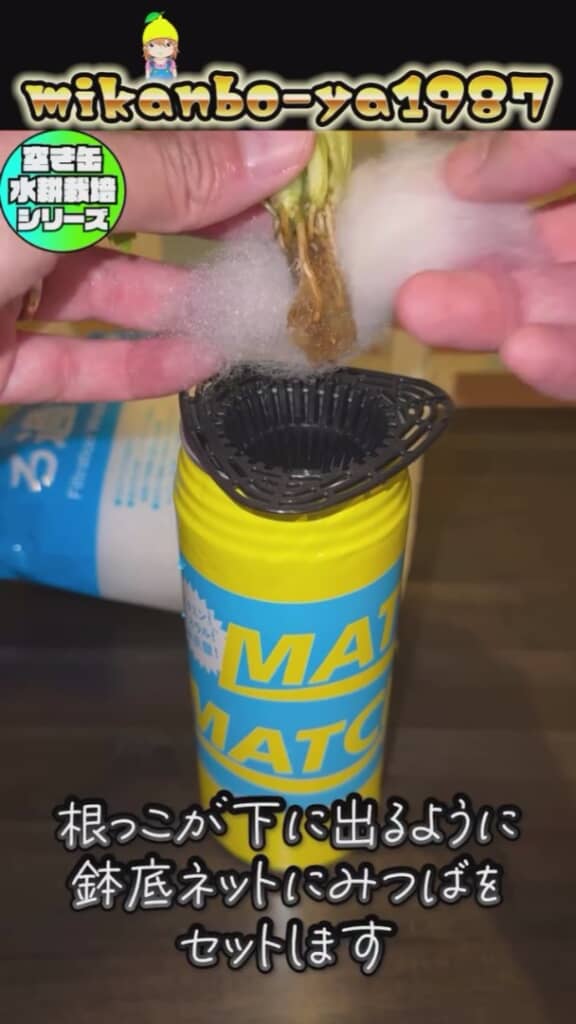 ろ過ウールで包んだ根っこをセット