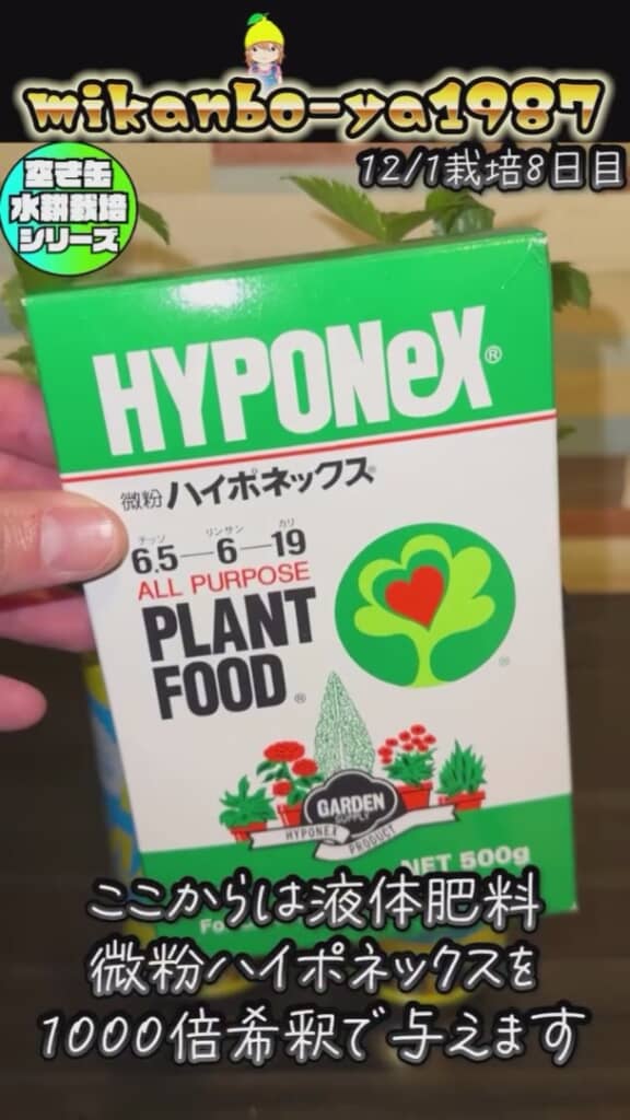 ここからは液体肥料を与えます