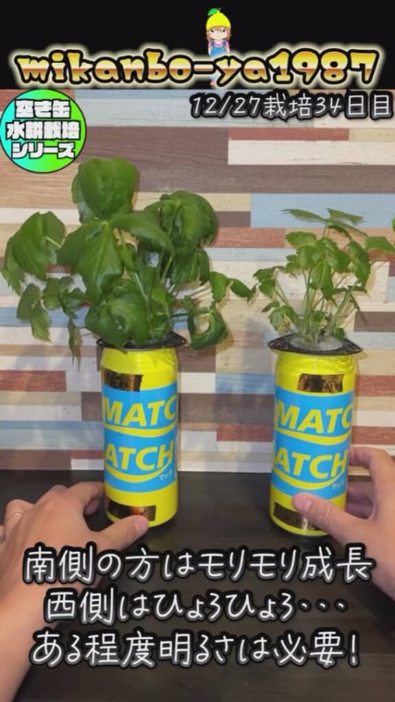 日当たりによる成長比較