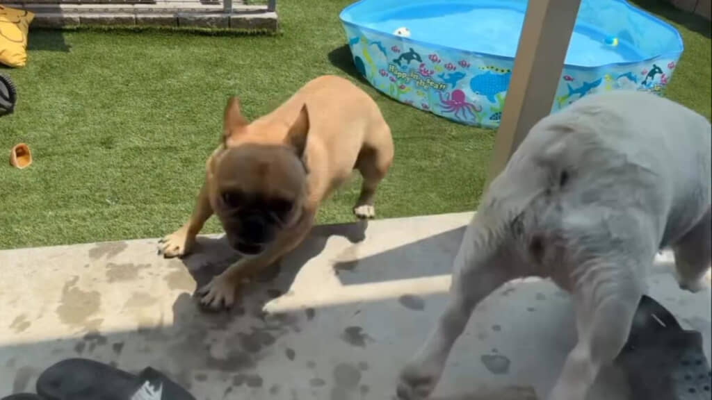 動く範囲が広い！