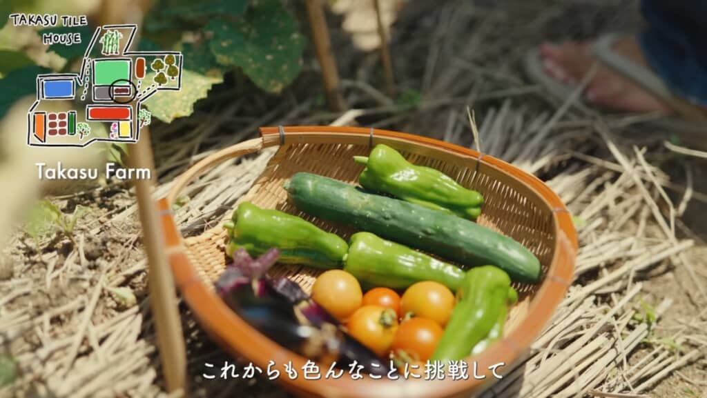 畑で収穫した新鮮な野菜