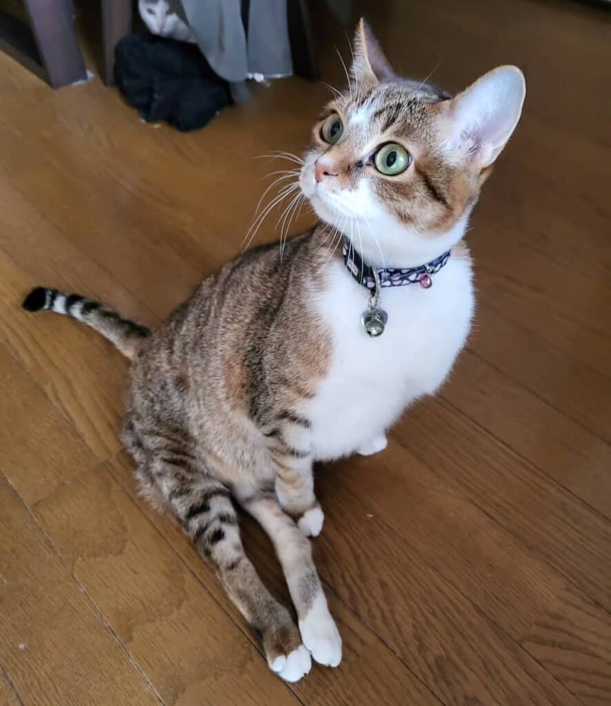 窓の雪が気になります