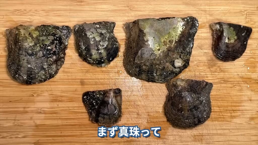 潮干狩りで真珠貝を採って真珠ガチャを引く