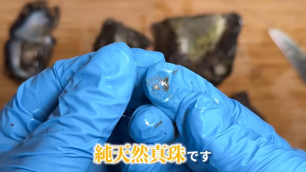 潮干狩りで真珠貝を採って真珠ガチャを引く
