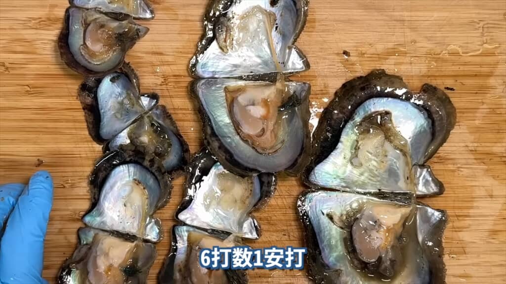 6枚中1枚から真珠を発見できました