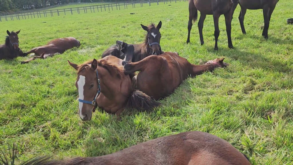 足が天に向いている！？