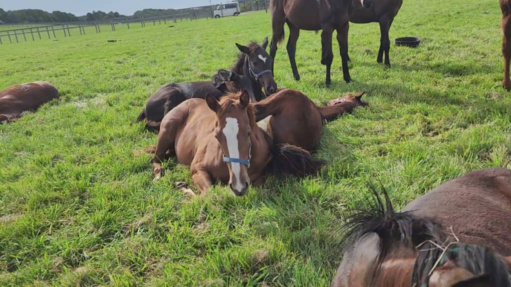 周りは迷惑そう……