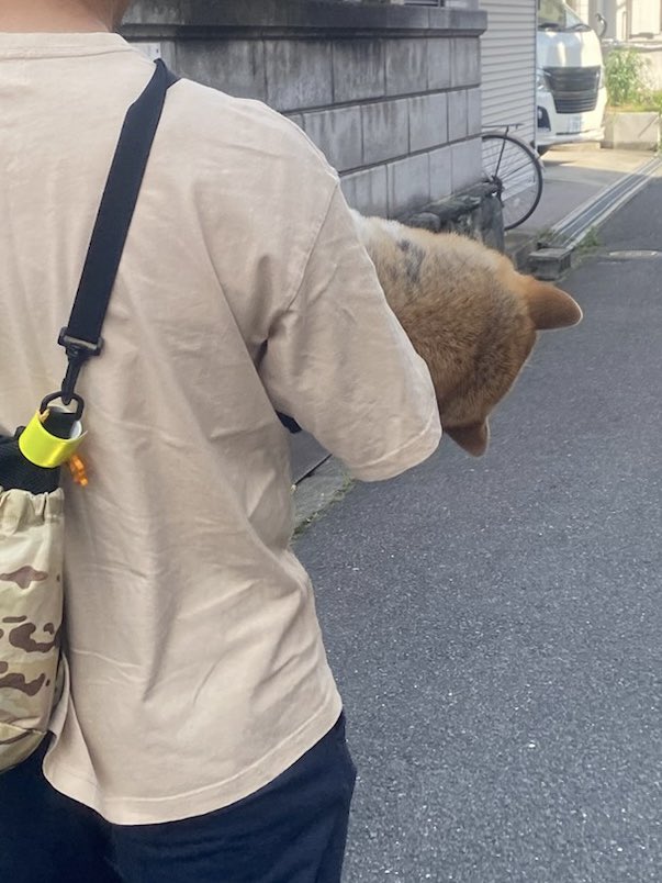 抱っこされてぐったりしてる……！