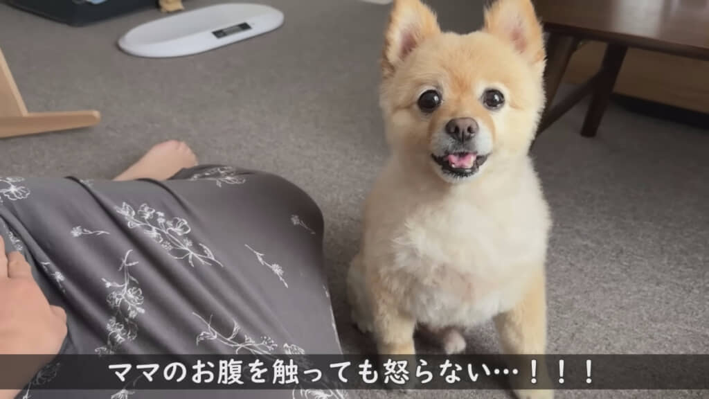 出産後はおなかを触っても無反応