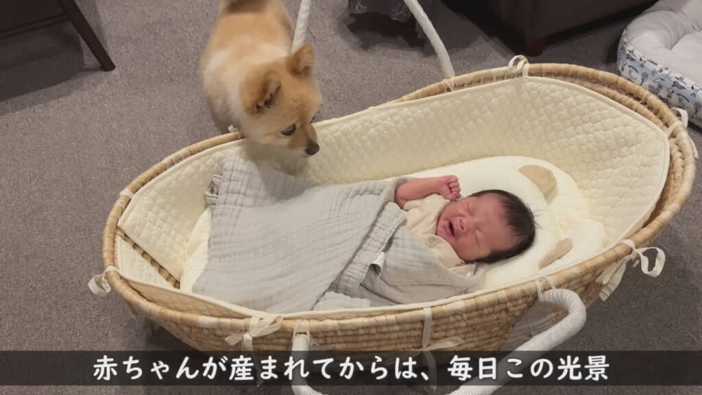 毎日赤ちゃんに寄り添う