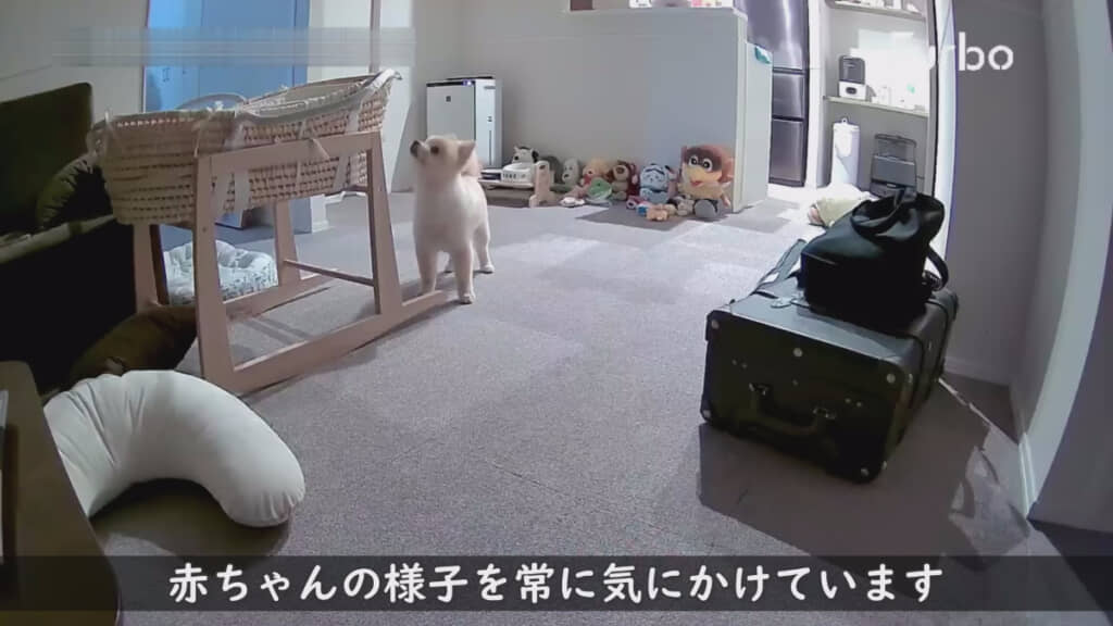 パパとママが見ていない時にも……