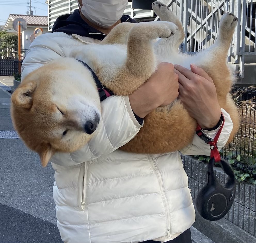 明らかに甘えているな
