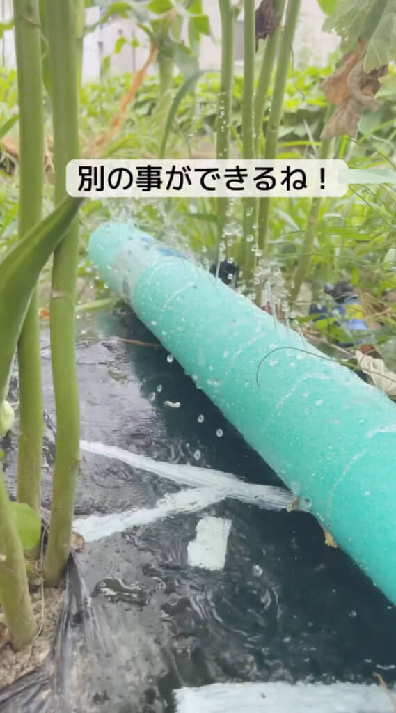 水の勢いを確認しながら調整しましょう