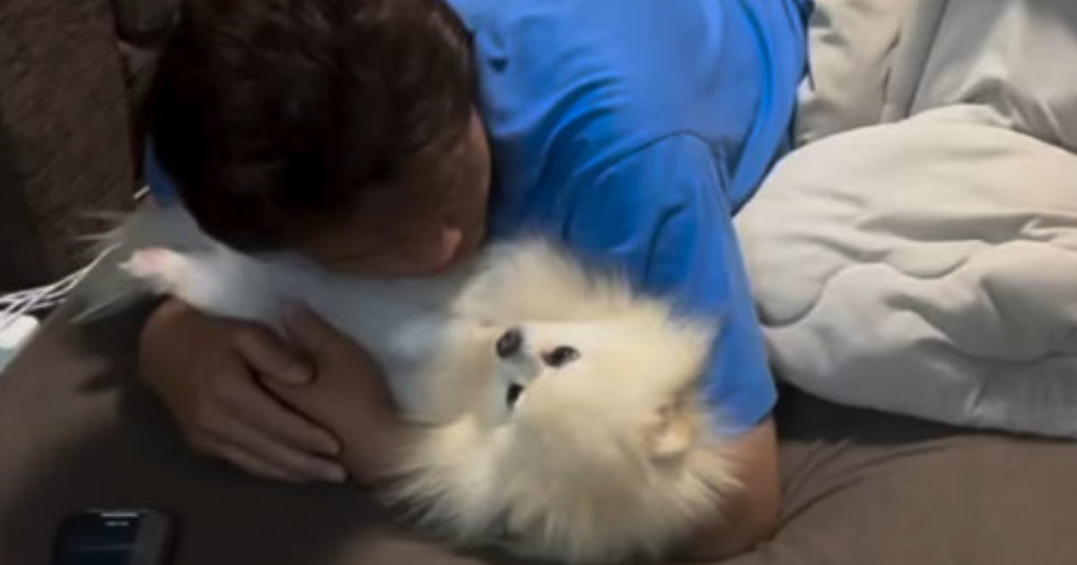 愛犬とたわむれているパパ→背後をよーく見てみると……映り込んだ“まさかの存在”に「怖い怖いっ」「事件が起きそう」（1/2） | 犬 ねとらぼ