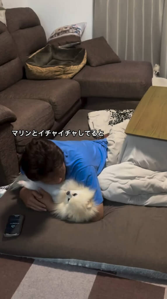 ほのぼのする日常の光景に思えましたが……？