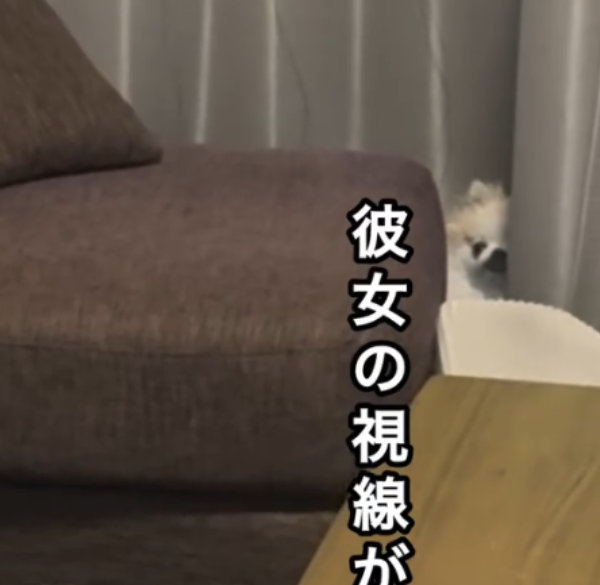 こっそり覗いて視線を送るクララちゃん