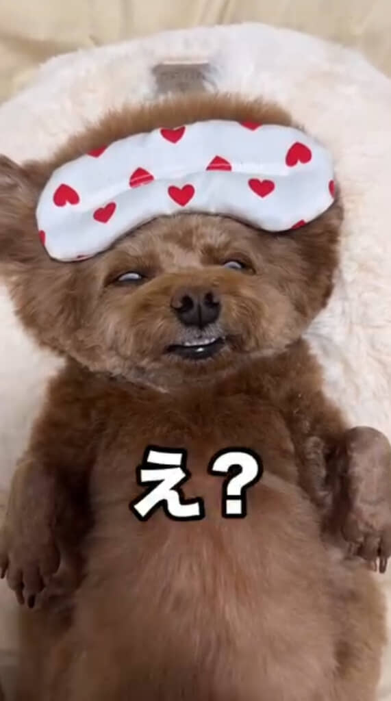 インパクトがすごい