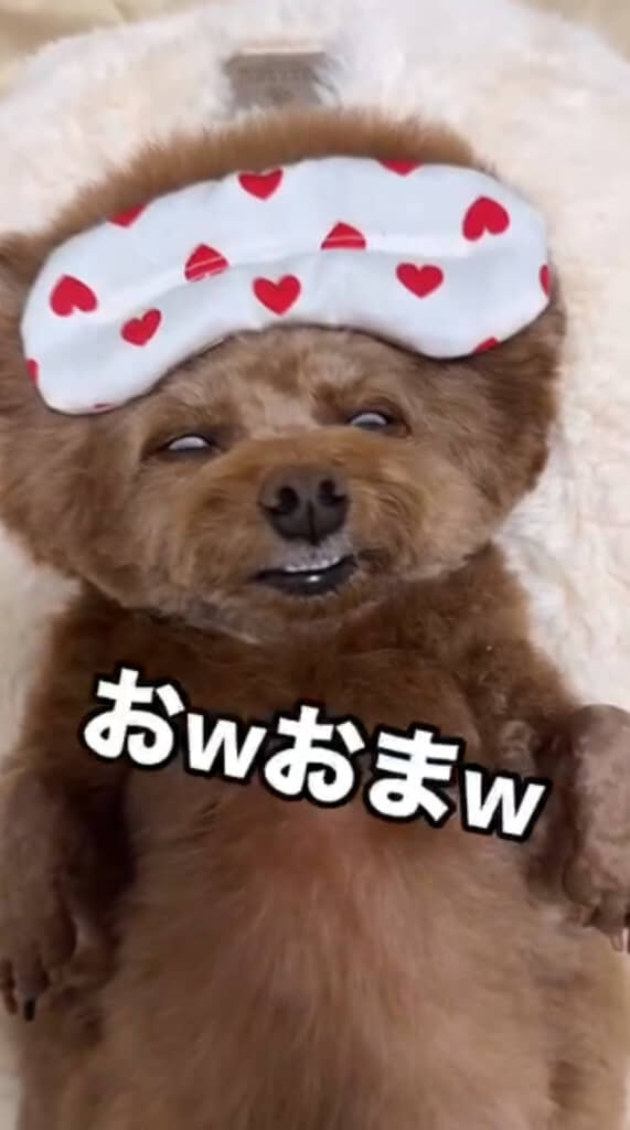 想像以上の白目