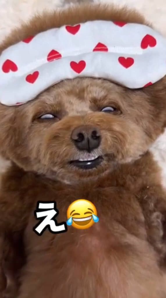 それだけ気持ちよかったのが伝わってきますね