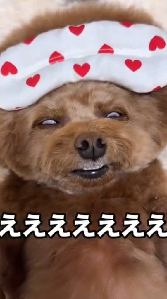 アイマスクを外す前後で印象が変わりすぎました……！