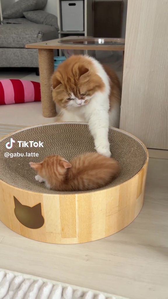 力が……まったく入っていない!?