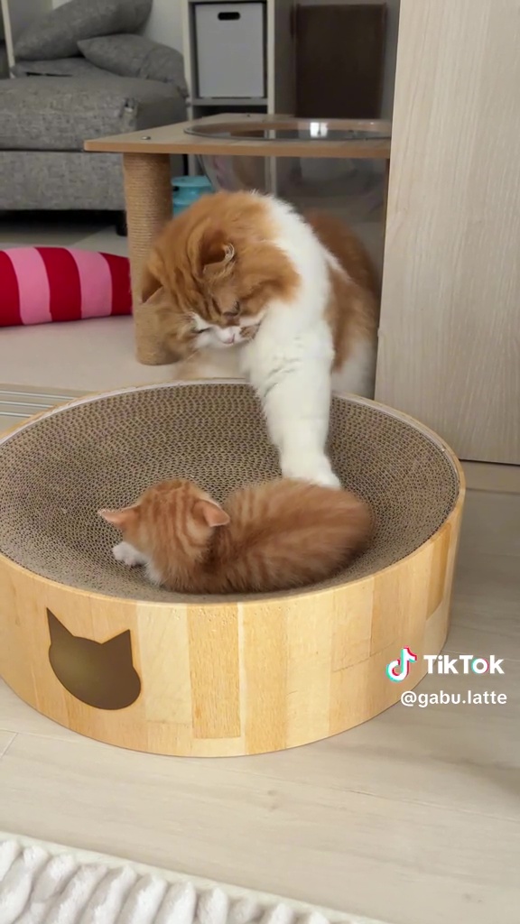 そーっと、そーっと……