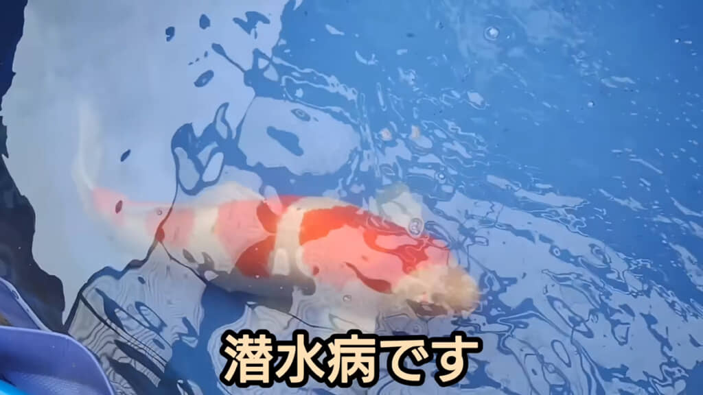 恐らく「潜水病」とのこと