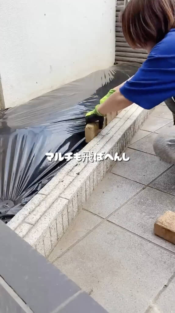 黒いシートでマルチング