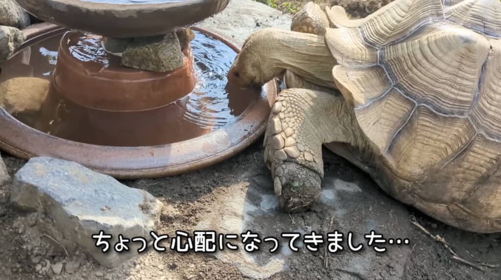 心配になるくらいの飲みっぷりを見せる