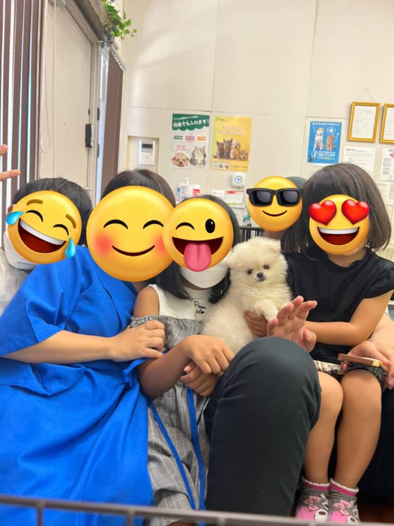 子犬時代のなんこつちゃん