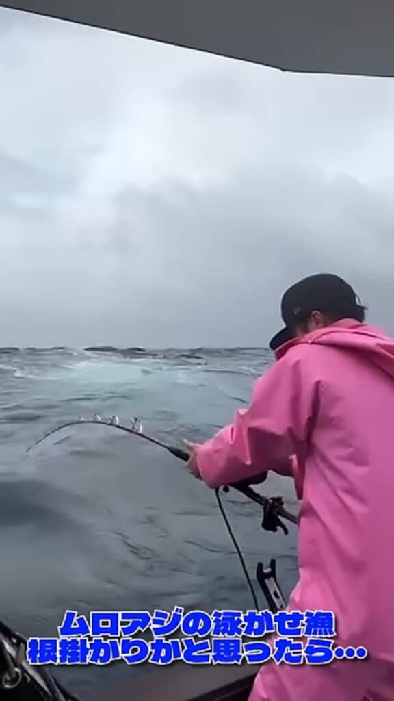 強く引っ張られて大きくしなる竿