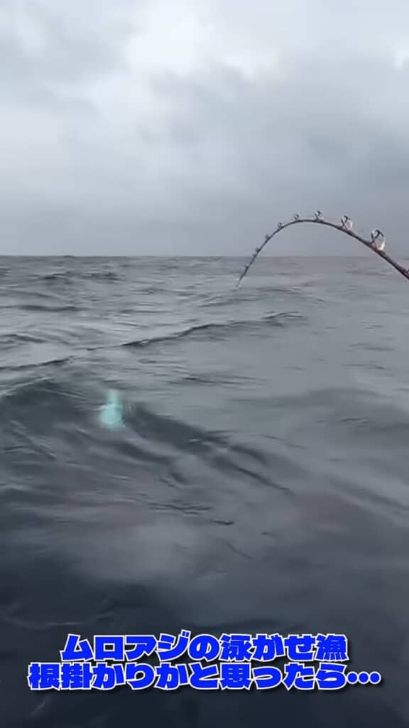 海中から白い影が浮かび上がってきた