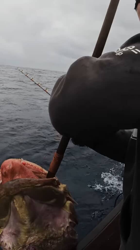 巨大なクエを引き上げる