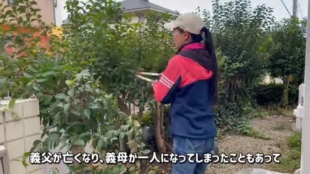 生い茂っていた木を剪定して