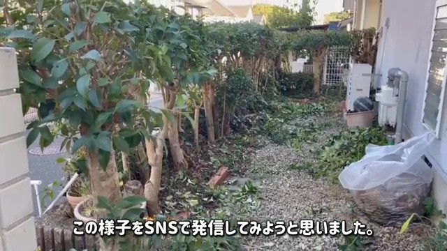 見違えるほどすっきり！