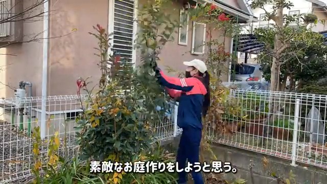 いつかすてきな庭づくりをしたい